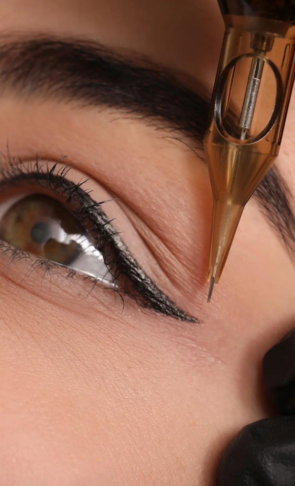 expert powder brows, combo brows, nano brows, lip blushing, and permanent eye liner services, Permanent Makeup Services